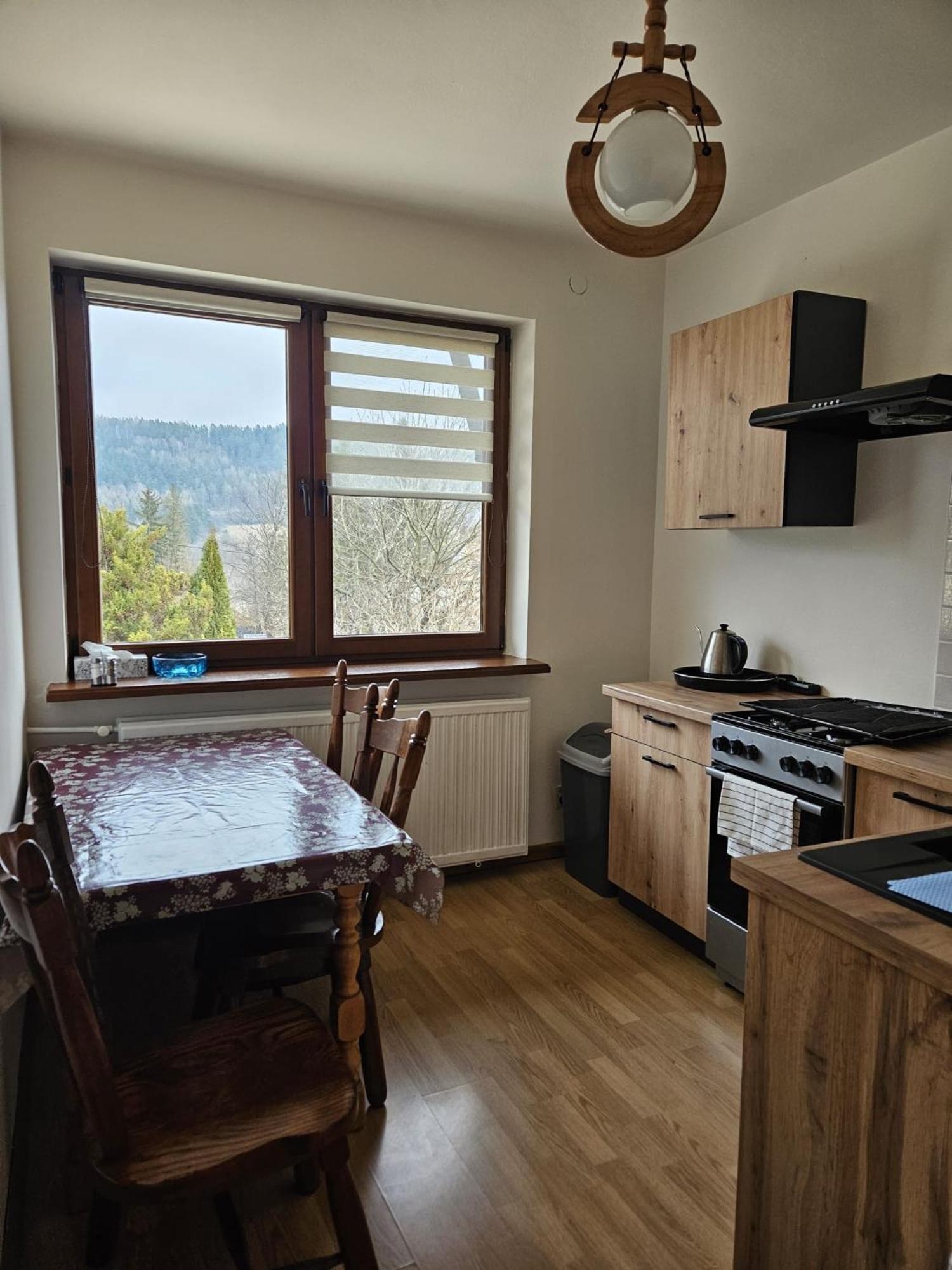 Hotel Mountain House Ustrzyki Dolne Esterno foto